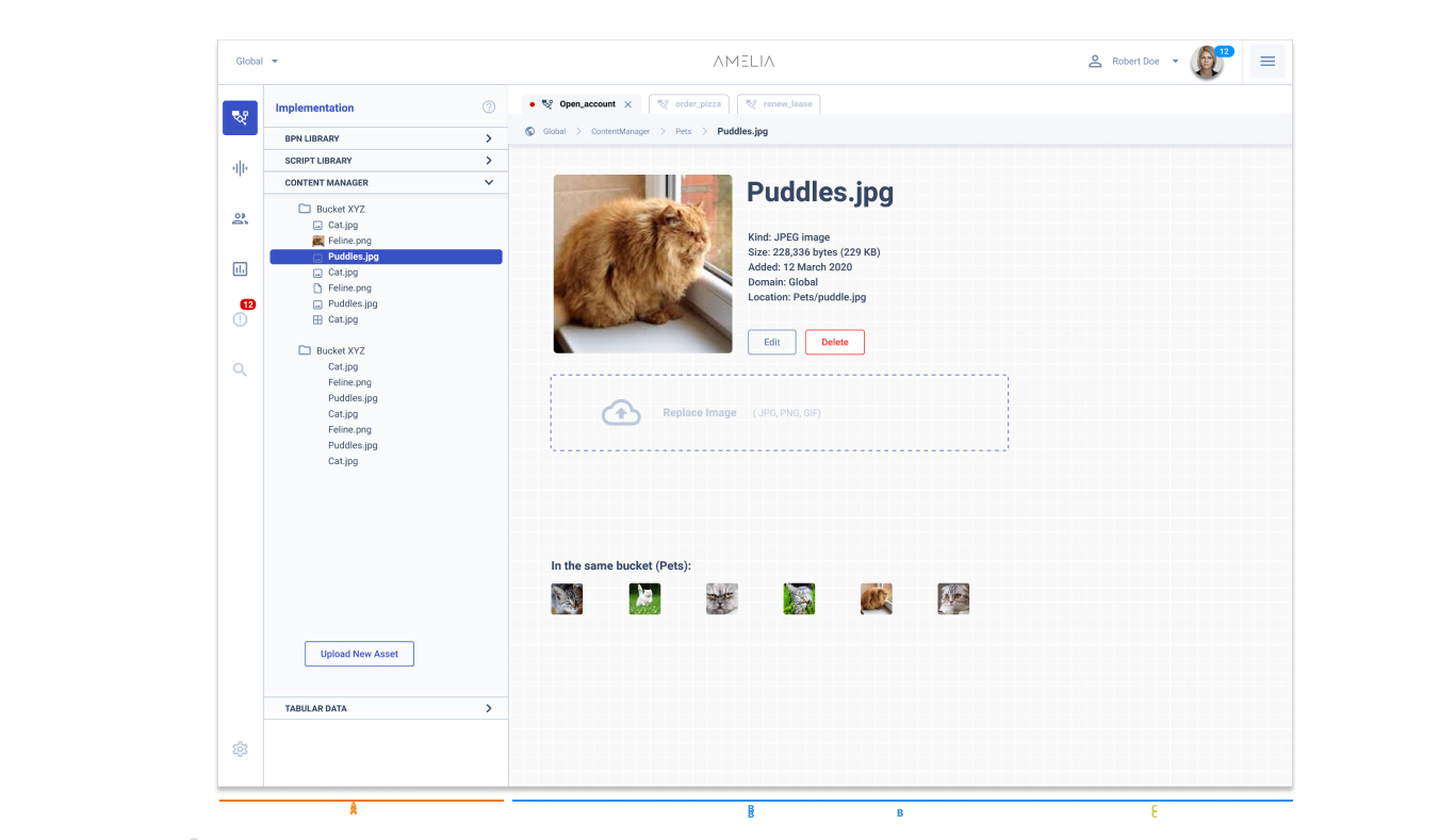 Assets Explorer